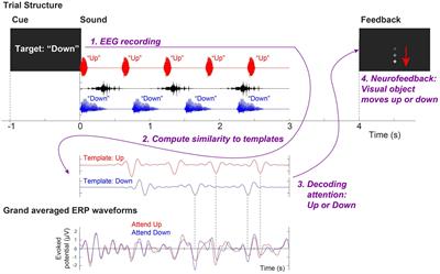 Neurofeedback Training of Auditory Selective Attention Enhances Speech-In-Noise Perception